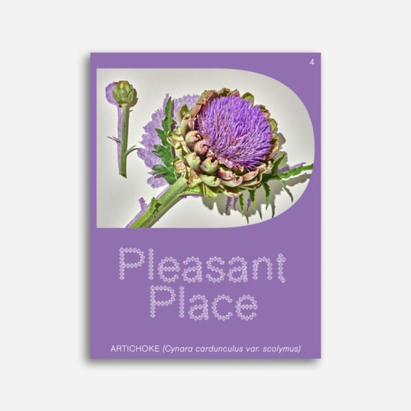 Pleasant Place 4 - Artichoke